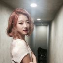 Se.A(세아)