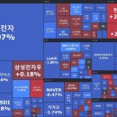 선진라이트 이미지