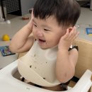 한우 함량 높은 시판 이유식 브랜드 : 닥터리의 로하스밀 3주 후기