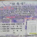 버드실샘 이미지