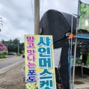 용재농원 | 대부도 포도농장 > 용재농원 샤인머스켓♡ (ft.17브릭스이상, 당도측정하고 수확하는곳)