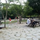 뚝섬 서울숲 공원 이미지