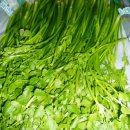 모화하우스 이미지