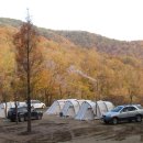 캠프리카 이미지