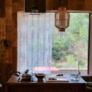 (실습)건강을 더하는 채식 요리 | [공지] 2개월 동안 달라진 나를 경험하세요 26년 새해 건강하게 맞이해요 (바른음식전문가 자격증 과정)