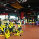 태산체육관 이미지