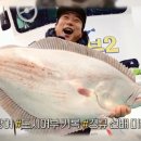 도시어부 이미지