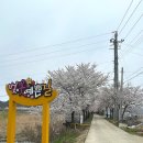 개성코다리&해물찜 이미지