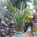 서김해새마을금고본점 이미지