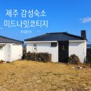[제주도 구좌읍 / 미드나잇코티지] cozy B 내돈내산 숙박 후기 세화 구좌 감성 숙소 에어비앤비 숙소 추천