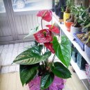 신근식산부인과의원 이미지