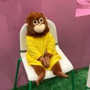 이노티안경구로항동점 | 25 10 미키야 잘가라