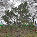 한정리파크골프장 이미지