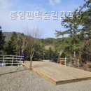 천대국치길 | 통영편백숲길캠핑장 경상남도 글램핑 다녀왔는데 와.. 이렇게 좋을 줄이야