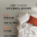 형제이불 티스토리