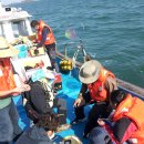 두정극동늘푸른아파트 이미지