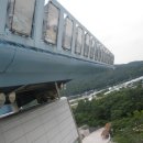 스카이약품 Daum카페