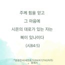 시온의 대로 이미지