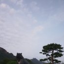 별길따라 Daum카페