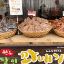 여행의달인 이미지