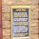 김명자낙지마당 정자점 | 김명자 낙지마당 정자점. 산낙지로 바로바로!