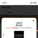 냐옹지마
