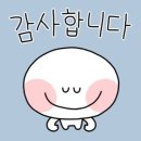 우리들정형외과의원 이미지