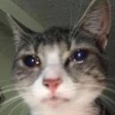 반석서로 | 후기 ㅣ [신촌곳간] 대전 반석동 냉삼 셀프바 무한리필 맛집 강력 추천