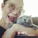 한볕 | 카린 마들렌 c2 베이지 핑크 넘 예쁜 것 내 돈 주고 산 수지선글라스