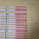 우리가축 인공수정 | 인공수정 1차 성공 후기 (배란9일~역전까지)