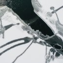 서울경찰청 한강경찰대(광나루센터)