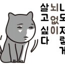 성실카공업사 이미지