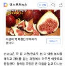 '무빙' 한효주 지원군, '이경실 子' 손보승이네…물오른 연기력 [엑's 이슈] 이미지