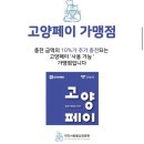 닥터서동물심장병원 | 고양이 심장병,고양이 심장전문병원 /닥터서동물심장병원 초진,재진 후기