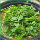 미나리식당 이미지