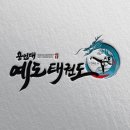 용인대예도태권도 이미지