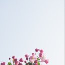 우성종합주방 이미지