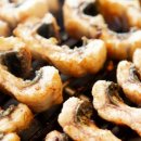 착한풍천민물장어 이미지