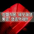 라파 메디컬 이미지