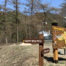 관작리 벚꽃길 이미지