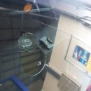 화랑카센타 이미지