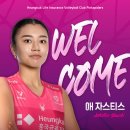 착실이네 이미지