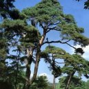 수원-1608 이미지