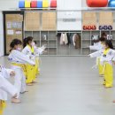 푸른나래 태권도 교육관 이미지