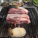 제주흑돼지집 | 제주 구좌 월정리 흑돼지 맛집 월고집 후기