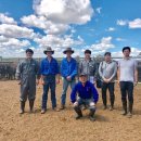 전진축산 이미지