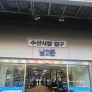 내돈내산 노량진 수산시장 공주상회 오마카세 맛본 후기 초장집 또순이네