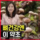 통뼈 만드는 뼈건강 음식 4가지! 칼슘과 뼈건강에 필요한 다양한 영양소도 알아봐요! 이미지