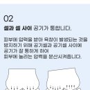 100세동안ㆍ뉴케어