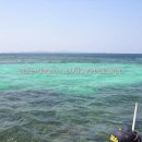 수박이네 이미지